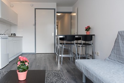 Spacious II Apartment short stay apartment Amsterdam